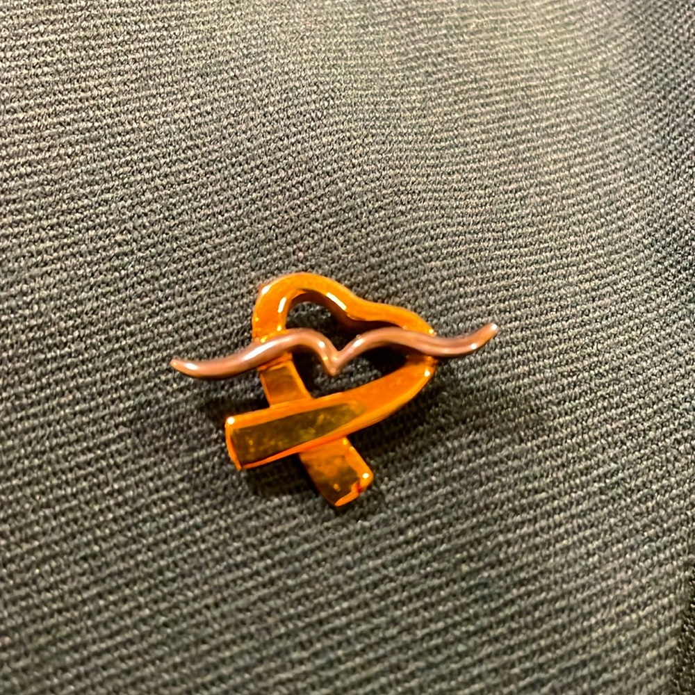 Flying heart brooch